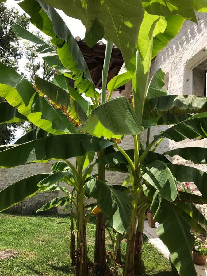 شقة Bergerie Le Vieux Manoir Valeilles المظهر الخارجي الصورة